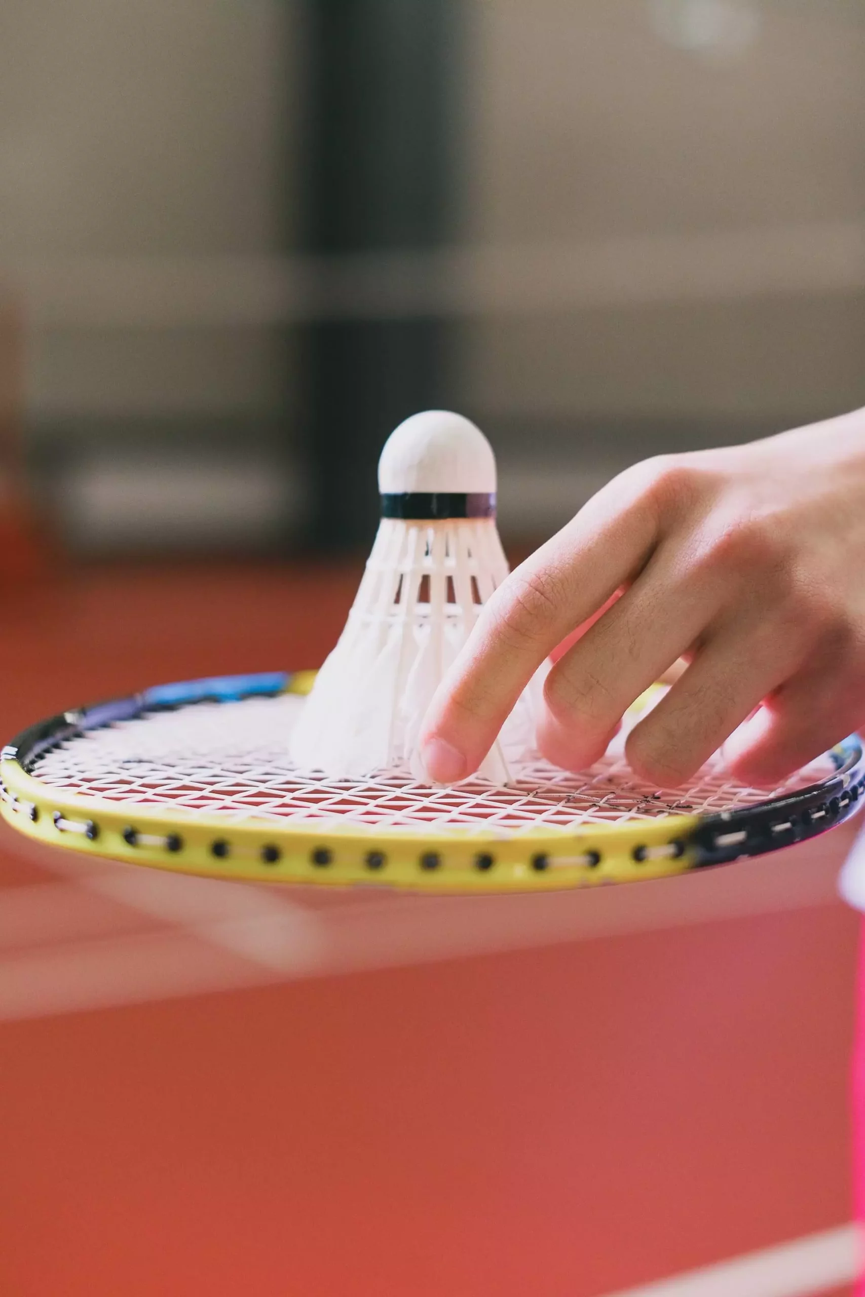 Badminton pour adultes